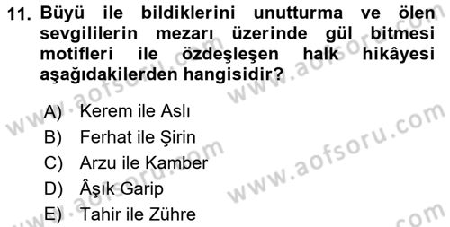 Halk Hikayeleri Dersi 2018 - 2019 Yılı Yaz Okulu Sınav Soruları 11. Soru