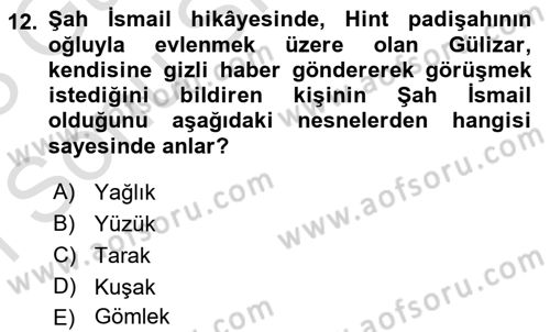 Halk Hikayeleri Dersi 2022 - 2023 Yılı (Final) Dönem Sonu Sınav Soruları 12. Soru
