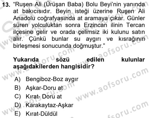 Halk Hikayeleri Dersi 2024 - 2025 Yılı (Final) Dönem Sonu Sınav Soruları 13. Soru