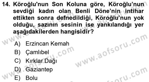 Halk Hikayeleri Dersi 2024 - 2025 Yılı (Final) Dönem Sonu Sınav Soruları 14. Soru