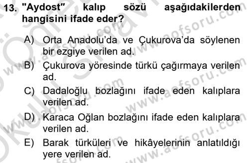 Halk Hikayeleri Dersi 2024 - 2025 Yılı Yaz Okulu Sınav Soruları 13. Soru