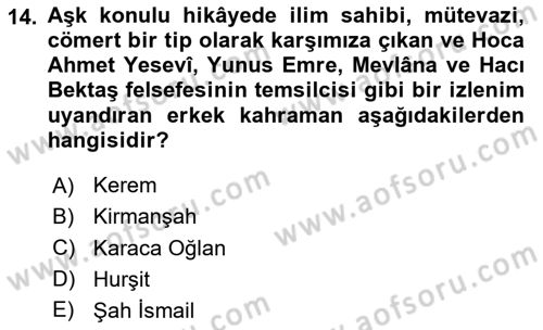 Halk Hikayeleri Dersi 2024 - 2025 Yılı Yaz Okulu Sınav Soruları 14. Soru