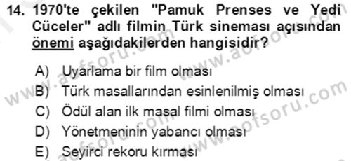 Halk Masalları Dersi 2017 - 2018 Yılı (Final) Dönem Sonu Sınav Soruları 14. Soru