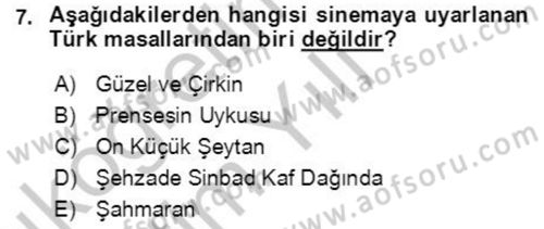 Halk Masalları Dersi 2018 - 2019 Yılı Yaz Okulu Sınav Soruları 7. Soru
