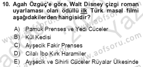 Halk Masalları Dersi 2020 - 2021 Yılı Yaz Okulu Sınav Soruları 10. Soru