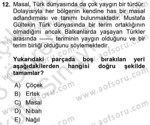 Halk Masalları Dersi 2022 - 2023 Yılı Yaz Okulu Sınav Soruları 12. Soru