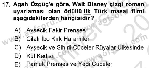 Halk Masalları Dersi 2023 - 2024 Yılı Yaz Okulu Sınav Soruları 17. Soru
