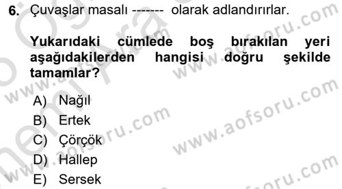 Halk Masalları Dersi 2024 - 2025 Yılı (Vize) Ara Sınav Soruları 6. Soru
