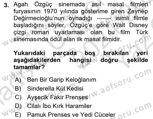 Halk Masalları Dersi 2024 - 2025 Yılı Yaz Okulu Sınav Soruları 3. Soru
