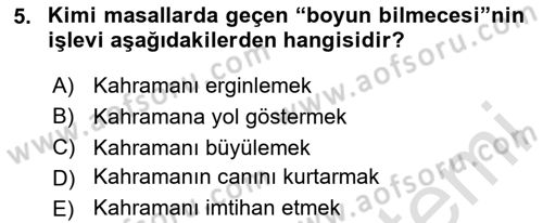 Halk Masalları Dersi 2024 - 2025 Yılı Yaz Okulu Sınav Soruları 5. Soru