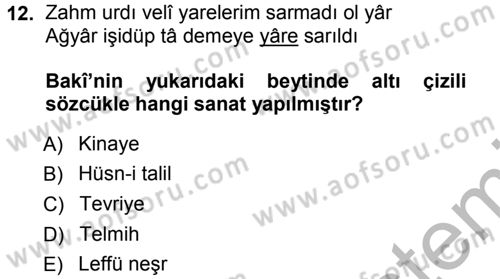 XVI. Yüzyıl Türk Edebiyatı Dersi 2012 - 2013 Yılı (Vize) Ara Sınav Soruları 12. Soru