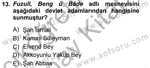 XVI. Yüzyıl Türk Edebiyatı Dersi 2012 - 2013 Yılı (Vize) Ara Sınav Soruları 13. Soru