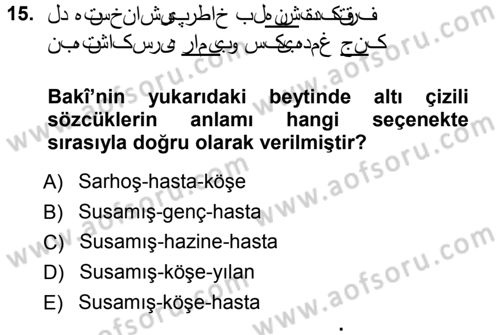 XVI. Yüzyıl Türk Edebiyatı Dersi 2012 - 2013 Yılı (Vize) Ara Sınav Soruları 15. Soru