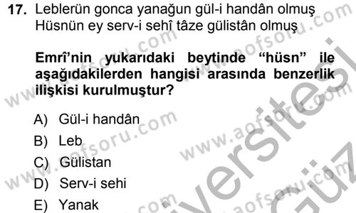 XVI. Yüzyıl Türk Edebiyatı Dersi 2012 - 2013 Yılı (Vize) Ara Sınav Soruları 17. Soru