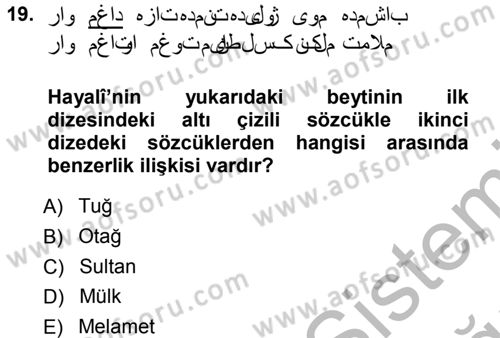 XVI. Yüzyıl Türk Edebiyatı Dersi 2012 - 2013 Yılı (Vize) Ara Sınav Soruları 19. Soru