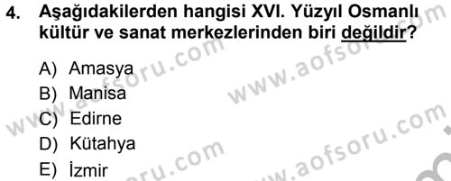 XVI. Yüzyıl Türk Edebiyatı Dersi 2012 - 2013 Yılı (Vize) Ara Sınav Soruları 4. Soru