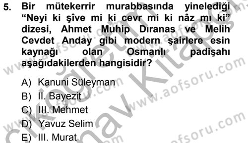XVI. Yüzyıl Türk Edebiyatı Dersi 2012 - 2013 Yılı (Vize) Ara Sınav Soruları 5. Soru