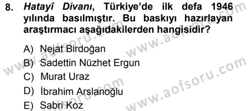 XVI. Yüzyıl Türk Edebiyatı Dersi 2012 - 2013 Yılı (Vize) Ara Sınav Soruları 8. Soru