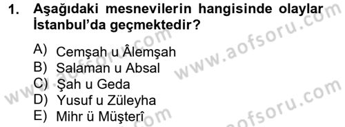XVI. Yüzyıl Türk Edebiyatı Dersi 2012 - 2013 Yılı (Final) Dönem Sonu Sınav Soruları 1. Soru