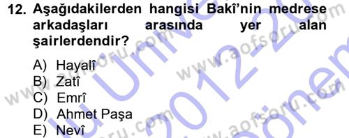 XVI. Yüzyıl Türk Edebiyatı Dersi 2012 - 2013 Yılı (Final) Dönem Sonu Sınav Soruları 12. Soru