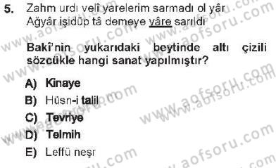 XVI. Yüzyıl Türk Edebiyatı Dersi 2012 - 2013 Yılı Tek Ders Sınav Soruları 5. Soru