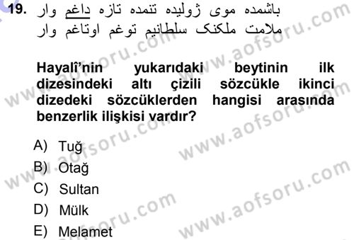 XVI. Yüzyıl Türk Edebiyatı Dersi Ara Sınavı Deneme Sınav Soruları 19. Soru
