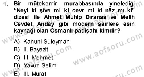 XVI. Yüzyıl Türk Edebiyatı Dersi 2013 - 2014 Yılı (Final) Dönem Sonu Sınav Soruları 1. Soru
