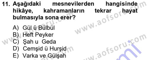 XVI. Yüzyıl Türk Edebiyatı Dersi 2013 - 2014 Yılı (Final) Dönem Sonu Sınav Soruları 11. Soru