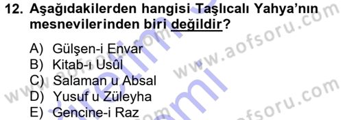 XVI. Yüzyıl Türk Edebiyatı Dersi 2013 - 2014 Yılı (Final) Dönem Sonu Sınav Soruları 12. Soru