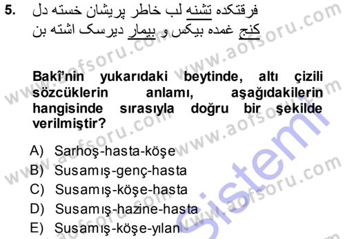 XVI. Yüzyıl Türk Edebiyatı Dersi 2013 - 2014 Yılı (Final) Dönem Sonu Sınav Soruları 5. Soru