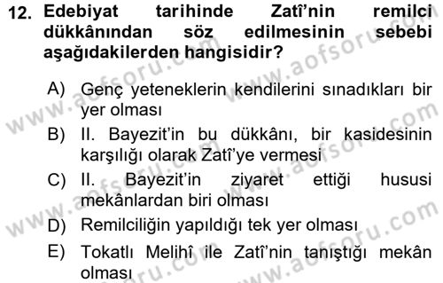 XVI. Yüzyıl Türk Edebiyatı Dersi 2015 - 2016 Yılı (Vize) Ara Sınav Soruları 12. Soru
