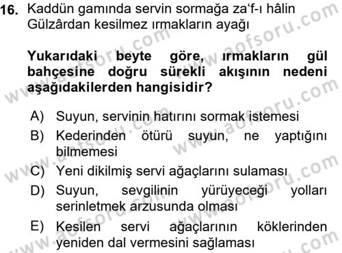 XVI. Yüzyıl Türk Edebiyatı Dersi 2015 - 2016 Yılı (Vize) Ara Sınav Soruları 16. Soru