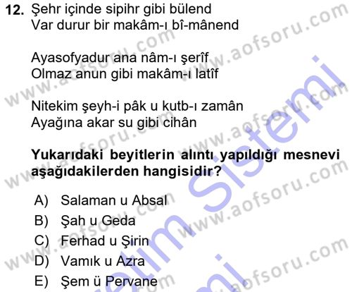 XVI. Yüzyıl Türk Edebiyatı Dersi 2015 - 2016 Yılı (Final) Dönem Sonu Sınav Soruları 12. Soru