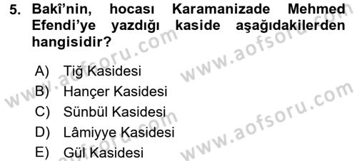 XVI. Yüzyıl Türk Edebiyatı Dersi 2016 - 2017 Yılı 3 Ders Sınav Soruları 5. Soru