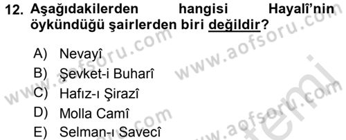 XVI. Yüzyıl Türk Edebiyatı Dersi 2016 - 2017 Yılı (Vize) Ara Sınav Soruları 12. Soru
