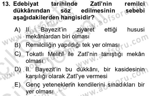 XVI. Yüzyıl Türk Edebiyatı Dersi 2016 - 2017 Yılı (Vize) Ara Sınav Soruları 13. Soru