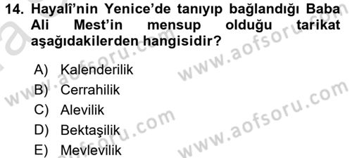 XVI. Yüzyıl Türk Edebiyatı Dersi 2016 - 2017 Yılı (Vize) Ara Sınavı 14. Soru