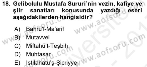 XVI. Yüzyıl Türk Edebiyatı Dersi 2016 - 2017 Yılı (Final) Dönem Sonu Sınav Soruları 18. Soru
