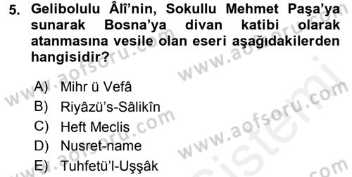XVI. Yüzyıl Türk Edebiyatı Dersi 2016 - 2017 Yılı (Final) Dönem Sonu Sınav Soruları 5. Soru