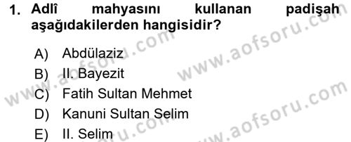 XVI. Yüzyıl Türk Edebiyatı Dersi 2017 - 2018 Yılı 3 Ders Sınavı 1. Soru