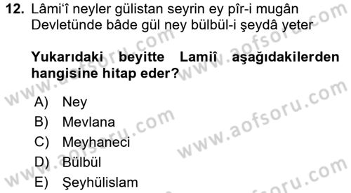 XVI. Yüzyıl Türk Edebiyatı Dersi 2017 - 2018 Yılı 3 Ders Sınavı 12. Soru