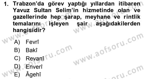 XVI. Yüzyıl Türk Edebiyatı Dersi 2017 - 2018 Yılı (Vize) Ara Sınavı 1. Soru