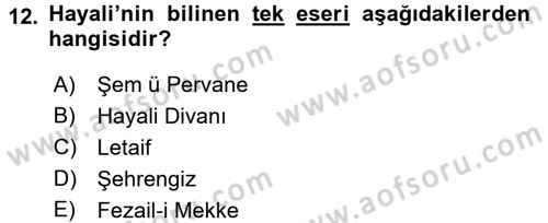 XVI. Yüzyıl Türk Edebiyatı Dersi 2017 - 2018 Yılı (Vize) Ara Sınav Soruları 12. Soru