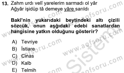 XVI. Yüzyıl Türk Edebiyatı Dersi 2017 - 2018 Yılı (Vize) Ara Sınav Soruları 13. Soru