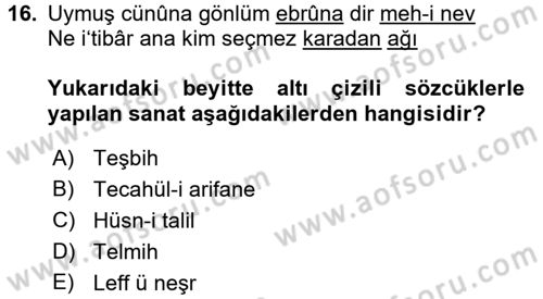 XVI. Yüzyıl Türk Edebiyatı Dersi 2017 - 2018 Yılı (Vize) Ara Sınav Soruları 16. Soru