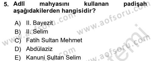 XVI. Yüzyıl Türk Edebiyatı Dersi 2017 - 2018 Yılı (Vize) Ara Sınav Soruları 5. Soru