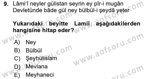 XVI. Yüzyıl Türk Edebiyatı Dersi 2017 - 2018 Yılı (Final) Dönem Sonu Sınav Soruları 9. Soru