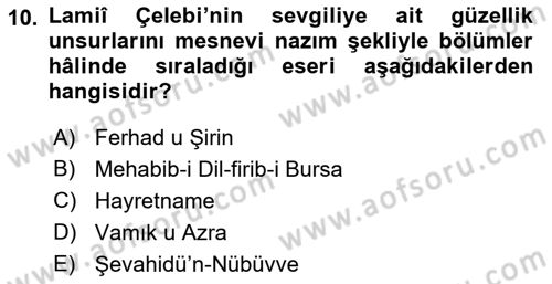 XVI. Yüzyıl Türk Edebiyatı Dersi 2018 - 2019 Yılı 3 Ders Sınav Soruları 10. Soru