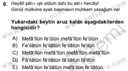 XVI. Yüzyıl Türk Edebiyatı Dersi 2018 - 2019 Yılı 3 Ders Sınav Soruları 6. Soru
