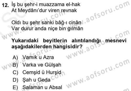 XVI. Yüzyıl Türk Edebiyatı Dersi 2018 - 2019 Yılı (Final) Dönem Sonu Sınav Soruları 12. Soru